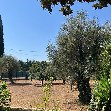 Villa Thyziri Roquefort-les-Pins Exteriör bild