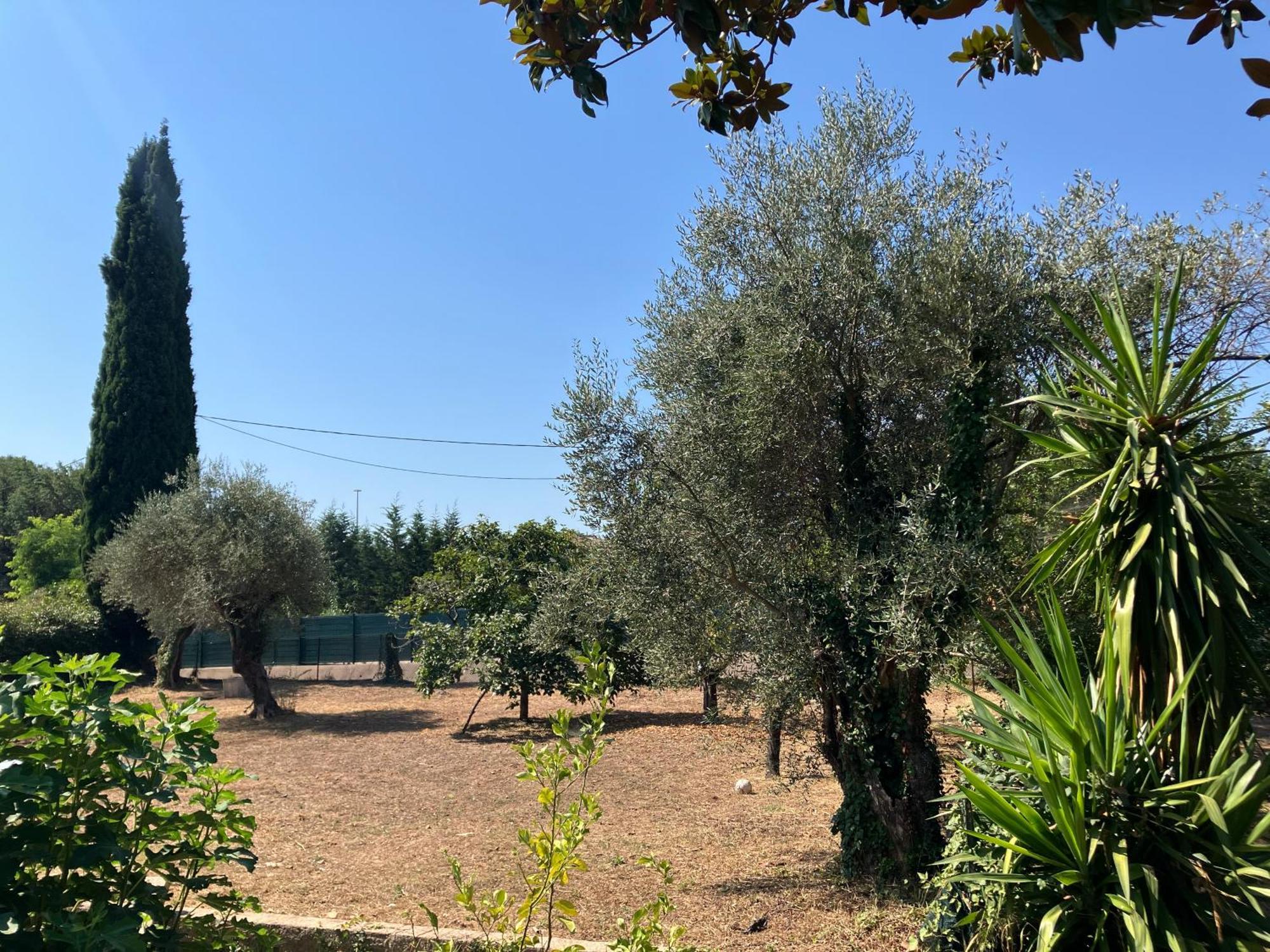 Villa Thyziri Roquefort-les-Pins Exteriör bild