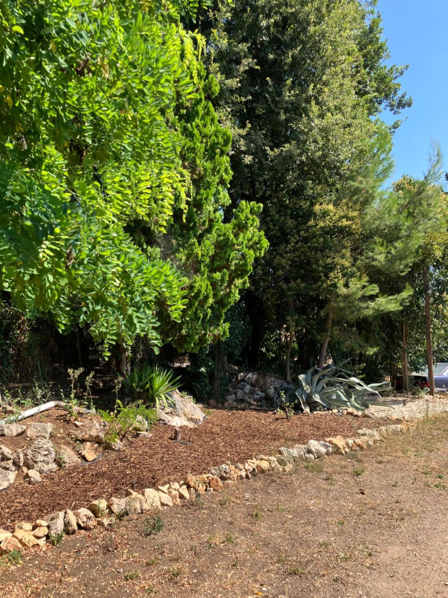 Villa Thyziri Roquefort-les-Pins Exteriör bild